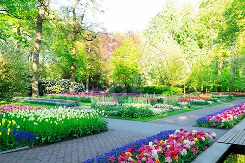 Vianaar Dappled Light Estate Directory